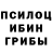 Псилоцибиновые грибы Cubensis blank msg