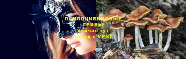 Альфа ПВП Гусиноозёрск