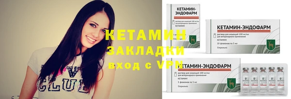 стаф Гусев