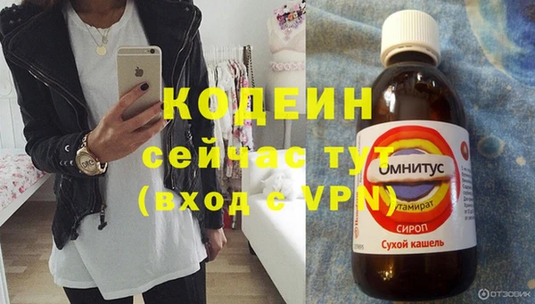 стаф Гусев