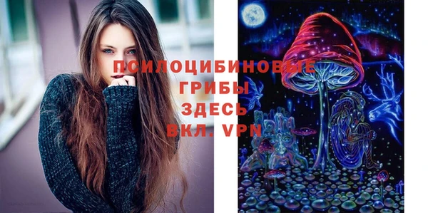 PSILOCYBIN Гусь-Хрустальный