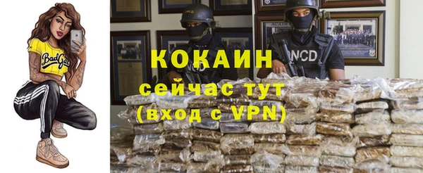 стаф Гусев