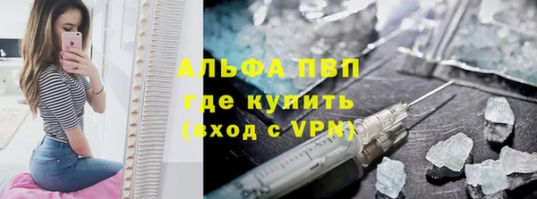 стаф Гусев