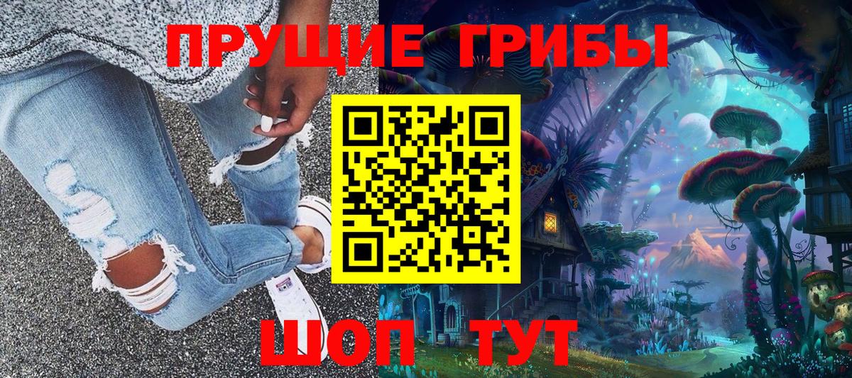 Воркута  Галлюциногенные грибы GOLDEN TEACHER  Вход с VPN  где купить наркоту  Псилоцибиновые грибы Psilocybine cubensis 