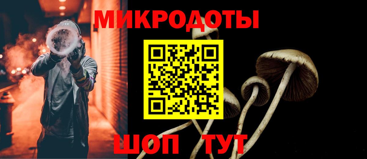 Галлюциногенные грибы Psilocybe  Воркута  Псилоцибиновые грибы Cubensis 